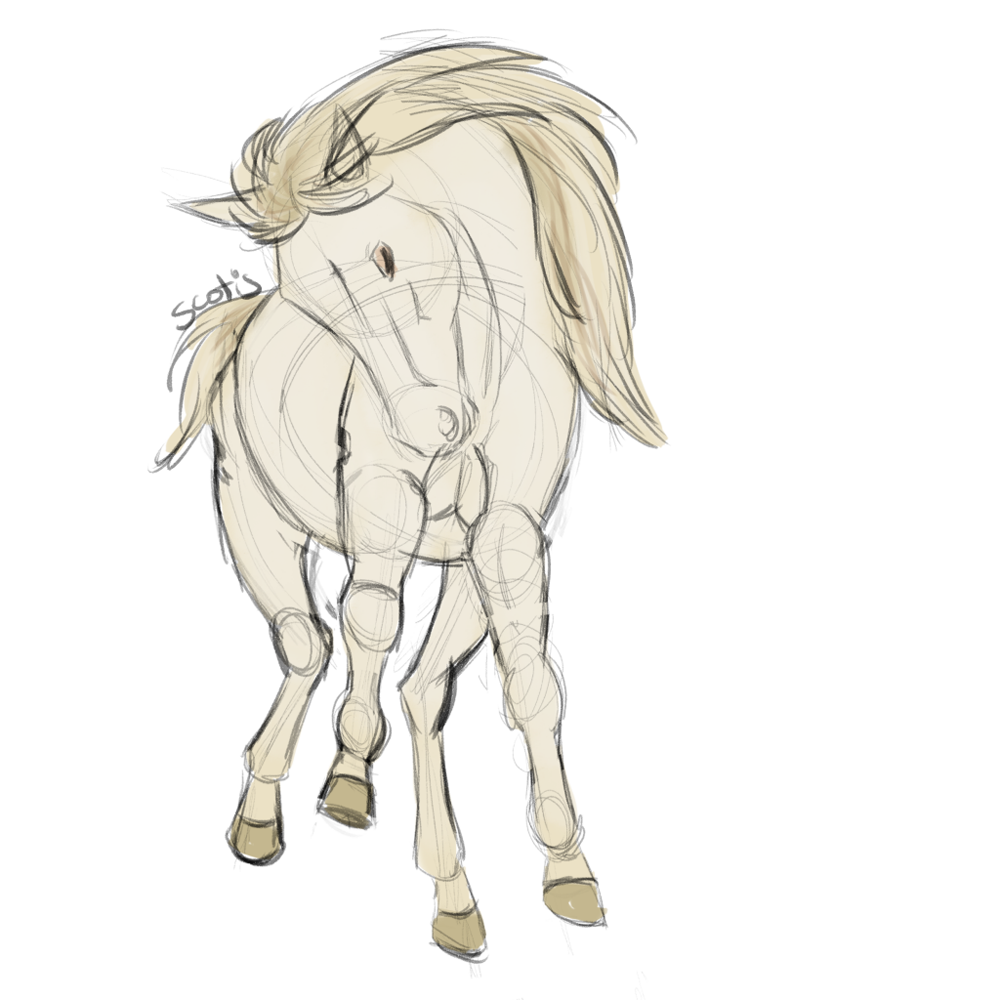 Cheval crème vu de face sautant, sketch par Scotis