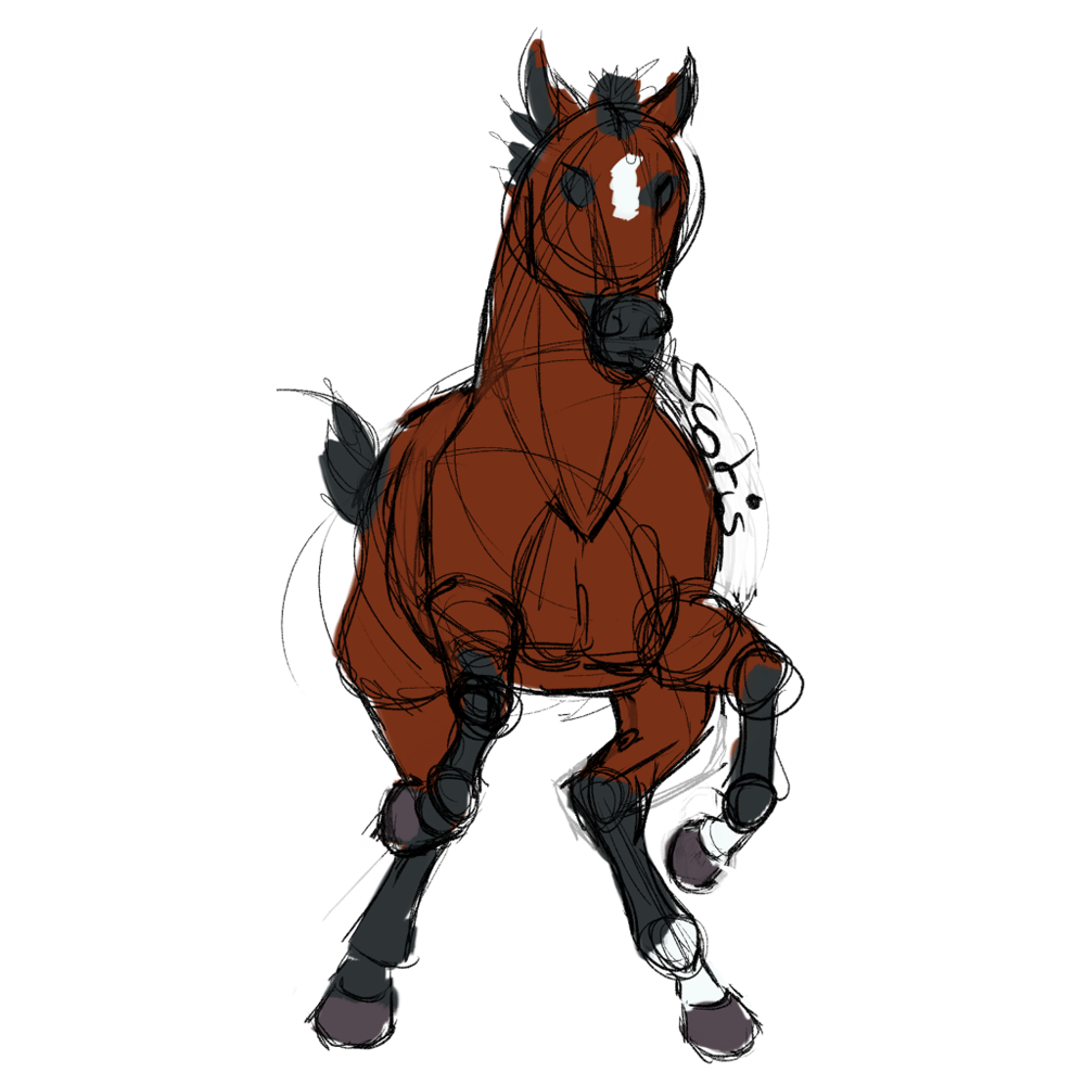 Cheval de selle bai vu de face lors d'un départ au galop, croquis par Scotis