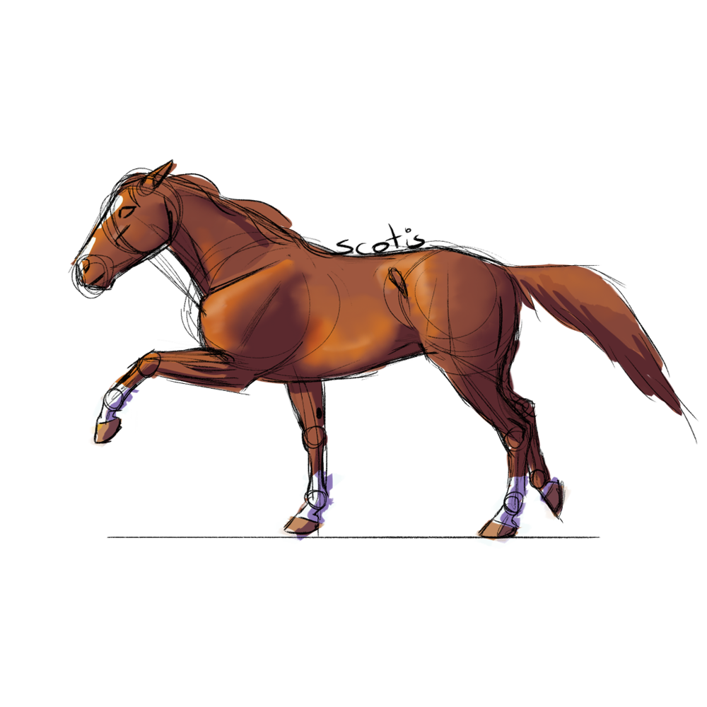 Cheval de selle alezan au trot, croquis par Scotis