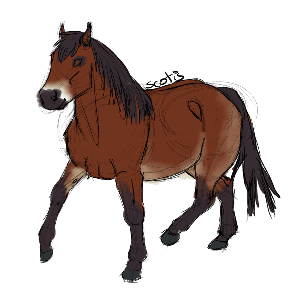Cheval bai pangaré au trot, dessin par Scotis