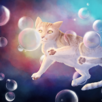 Chat-mallo dans les bulles