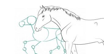 Comment dessiner facilement un cheval (avec une anatomie correcte)
