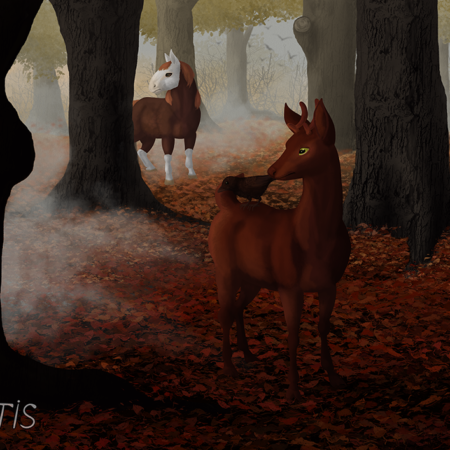 Silence dans la forêt - Illustration par Scotis