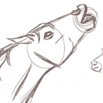 Dessiner la tête d’un cheval