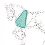 Dessiner le corps d’un cheval