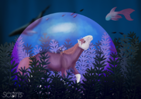 Scotis-Illustration-commande-complexe Scotis-Illustration-commande-complexe