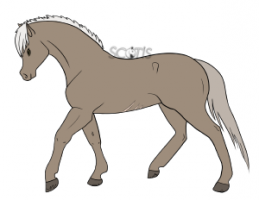 Scotis-Illustration-commande-simple Scotis-Illustration-commande-simple